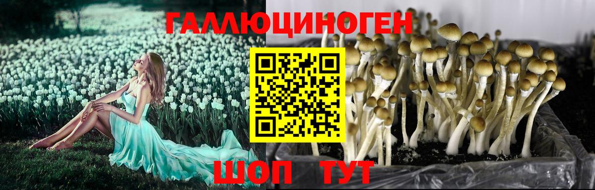 Троицк  Галлюциногенные грибы MAGIC MUSHROOMS  Вход с VPN 